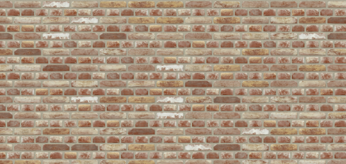 42 - Old Haspengouw Baekel Brick - Joint 6422