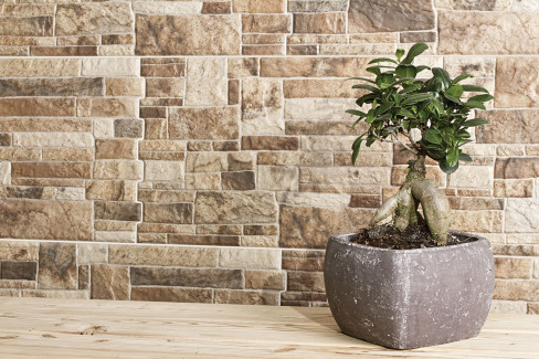 Canella Terra (6798) - 490x300x10 mm